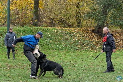 DSC00159 DxO
