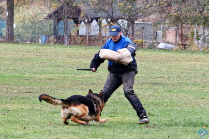 IMG 4957 DxO