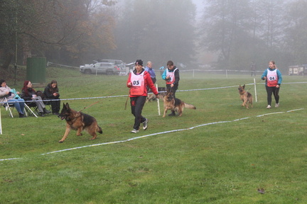 IMG-20241016-WA0008