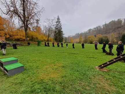 bf459918-a844-418d-b08a-4c1f9b1ad012