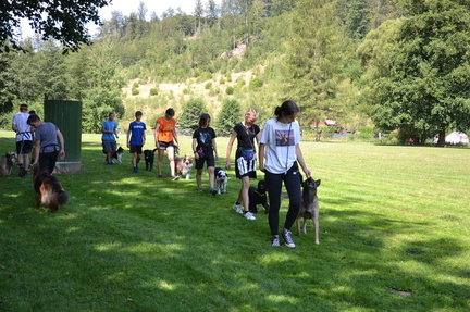 IMG-20250112-WA0007