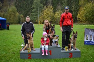 DSC 0243.JPG-300x200